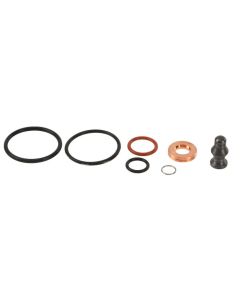 Fuel Injector Seal Kit, Victor Reinz (BEW, BHW, BRM)