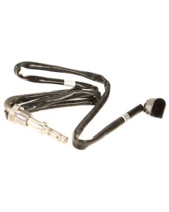Exhaust Gas Temperature Sensor (CBEA/CJAA)